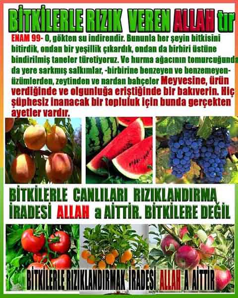 ALLAH ın delilleri