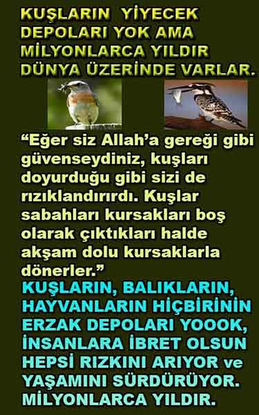 ALLAH in delilleri, #allah-delilleri, @allah-delilleri, ALLAH-Delilleri, allahin delilleri, allahin-delilleri, ALLAH in varliginin delilleri, ALLAHin varlığının delilleri