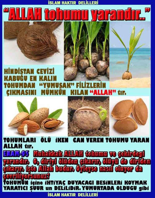 ALLAH in delilleri, #allah-delilleri, @allah-delilleri, ALLAH-Delilleri, allahin delilleri, allahin-delilleri, ALLAH in varliginin delilleri, ALLAHin varlığının delilleri