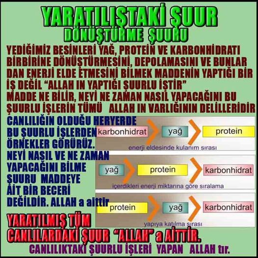 ALLAH in delilleri, #allah-delilleri, @allah-delilleri, ALLAH-Delilleri, allahin delilleri, allahin-delilleri, ALLAH in varliginin delilleri, ALLAHin varlığının delilleri