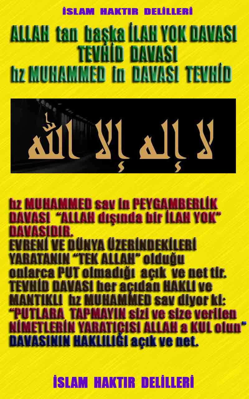 ALLAH in delilleri, #allah-delilleri, @allah-delilleri, ALLAH-Delilleri, allahin delilleri, allahin-delilleri, ALLAH in varliginin delilleri, ALLAHin varlığının delilleri