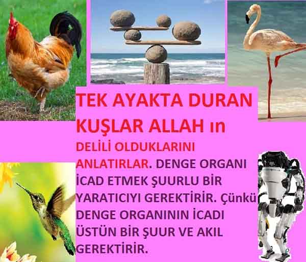 ALLAH in delilleri, #allah-delilleri, @allah-delilleri, ALLAH-Delilleri, allahin delilleri, allahin-delilleri, ALLAH in varliginin delilleri, ALLAHin varlığının delilleri