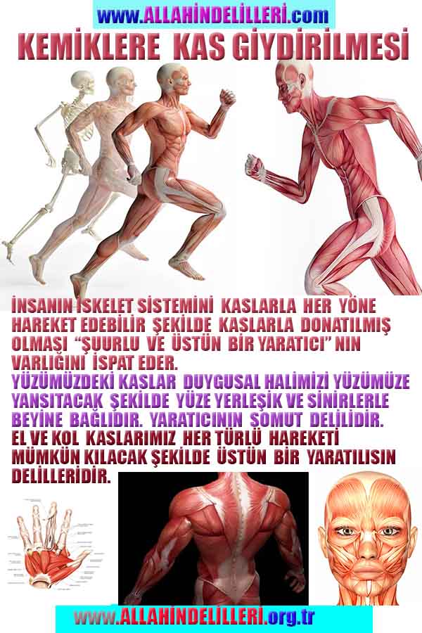  ALLAH ın varlığının delilleri, Allah var, Allah delilleri,ALLAH in delilleri, #allah-delilleri, @allah-delilleri, ALLAH-Delilleri, allahin delilleri, allahin-delilleri, ALLAH in varliginin delilleri, ALLAHin varlığının delilleri