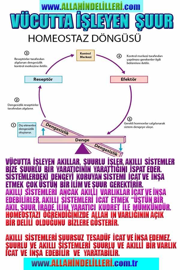  ALLAH ın varlığının delilleri, Allah var, Allah delilleri,ALLAH in delilleri, #allah-delilleri, @allah-delilleri, ALLAH-Delilleri, allahin delilleri, allahin-delilleri, ALLAH in varliginin delilleri, ALLAHin varlığının delilleri