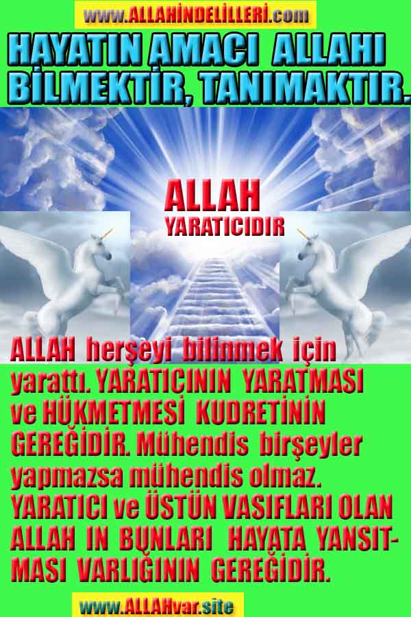 ALLAH ın delilleri,ALLAH in delilleri, #allah-delilleri, @allah-delilleri, ALLAH-Delilleri, allahin delilleri, allahin-delilleri, ALLAH in varliginin delilleri, ALLAHin varlığının delilleri